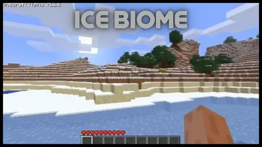 Ice Biome
